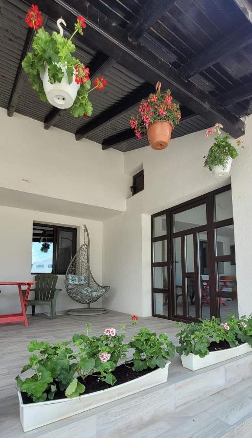 Casa Domneasca Hotel Giurgiu Exterior photo